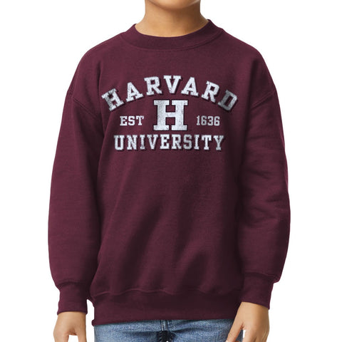 Harvard University Youth Crewneck Sweatshirt (Maroon)