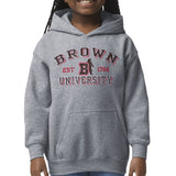 Brown University Youth Hooded Sweatshirt (Grey)