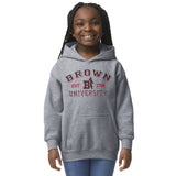 Brown University Youth Hooded Sweatshirt (Grey)